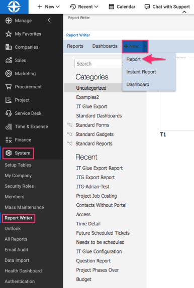 Manage__Report_Writer.png